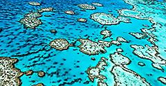 Aerial view of the Great Barrier Reef. Australia.