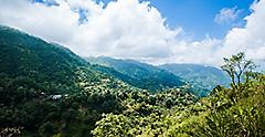 Caribbean Mountains in Jamaica 
