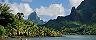 South Pacific Islands Rainforest