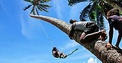 Rope Swing in Fiji, South Pacific Attraction
