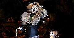 Cats Broadway Show Singer Stage Cat Suit