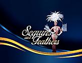 Sequins and feathers banner