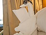Towel Animal in the Stateroom 