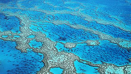 An aerial view of Hardy Reed on the Great Barrier Reef in Australia