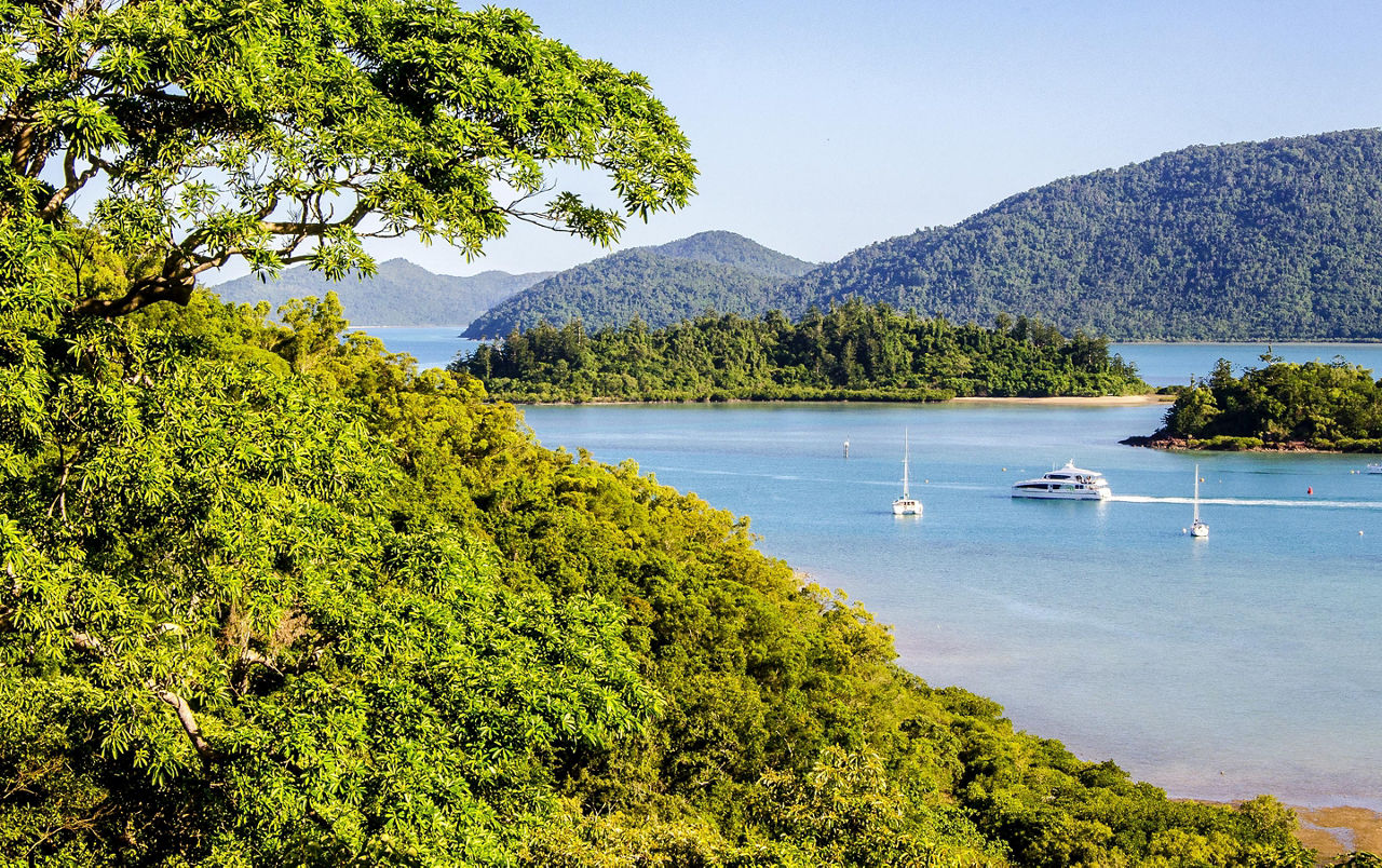 View of Shute Harbour from a rainforest in Australia