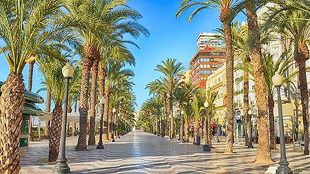 A street lined with palm trees in Alicante, Spain