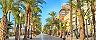 Alicante, Spain, Street lines with palm trees