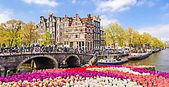 Amsterdam Netherlands City Tulips