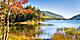 Bar Harbor, Maine Lush Landscape at Acadia National Park