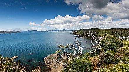 View of the ocean and landscape near Paihia Bay Islands in New Zealand