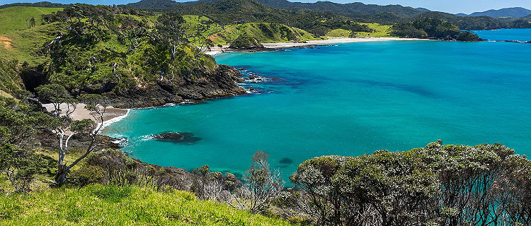 View of the nature's landscape along the coast of the Pacific ocean in Bay of Islands, New Zealand