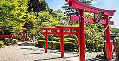 Beppu, Japan Garden