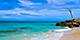 Beach Rocks Tree Shore, Bimini, Bahamas
