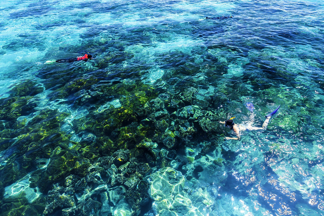 Two people snorkeling the Great Barrier Reef in Queensland, Australia