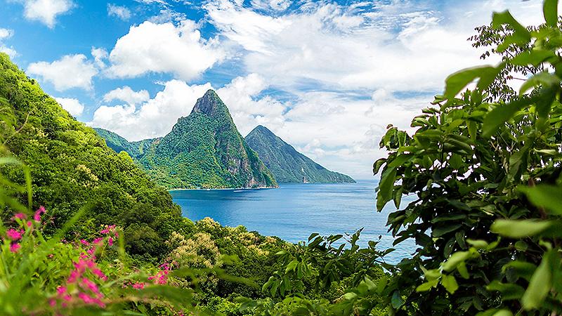 castries st lucia forest piton peaks