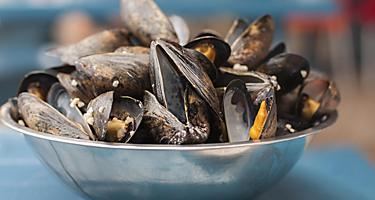 Mussels in an aluminum bowl