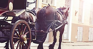 A horse drawn carriage