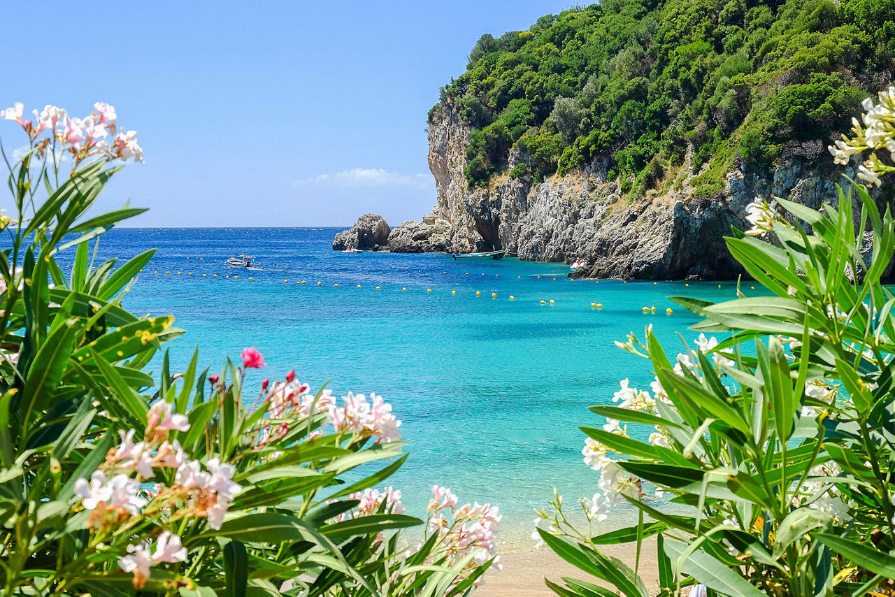 View of Palaiokastritsa Beach with beautiful flowers and blue sea water on Corfu, Greece