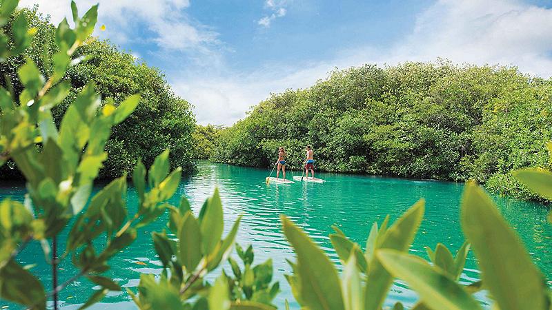 cozumel mexico couple paddle boarding through mangroves