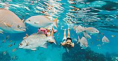 Kids Snorkeling Through a School of Fish, Cozumel, Mexico 