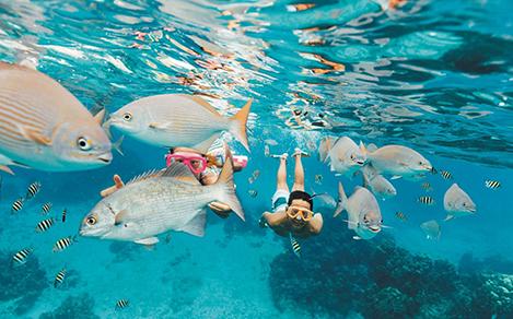Kids Snorkeling Through a School of Fish, Cozumel, Mexico 