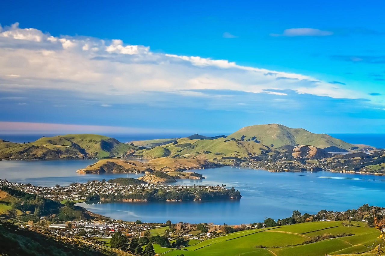 View of the bay as seen from the hills above Dunedin, New Zealand