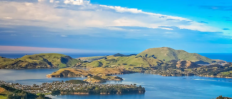 Cruises To Dunedin New Zealand Royal Caribbean Cruises
