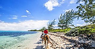 george town grand cayman beach horse ride