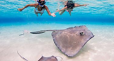 Two Women Swimming with Stingrays, George Town, Grand Cayman