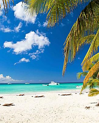 Bahamas Sandy White Beach Crystal Blue Water , Grand Bahama Island