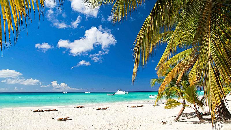 grand bahama island sands beaches palm trees