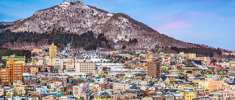 View of the town of Hakodate with Mt. Hakodate in the background, in Hakodate, Japan