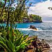 Rocky shore of a rain forest in Hilo, Hawaii