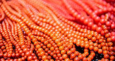 Red coral necklaces is something you can find shopping in Hualien, Taiwan