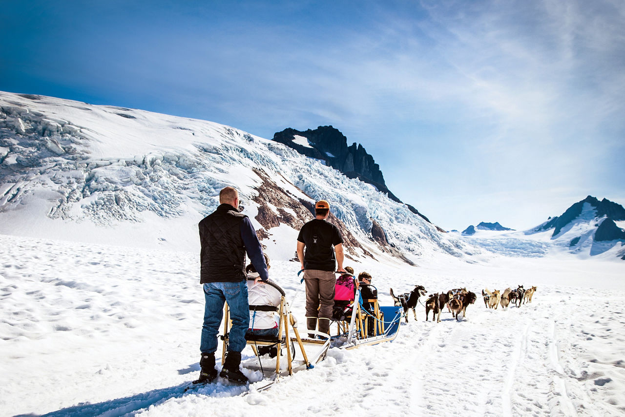 Sledding Dogs Family, Juneau, Alaska