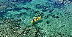 Kayaking the Crystal Clear Blue Waters, Bermuda