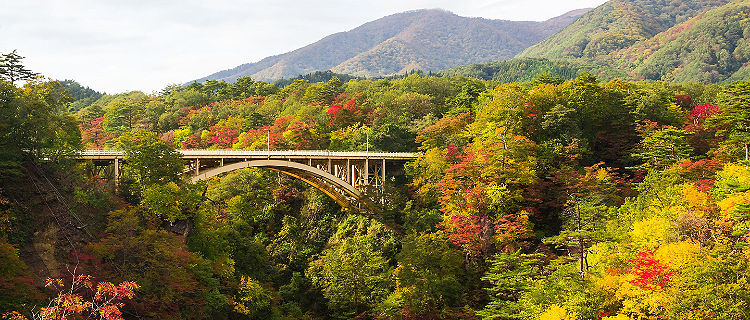 A bridge crossing over the Noruko Gorge in Kobe, Japan