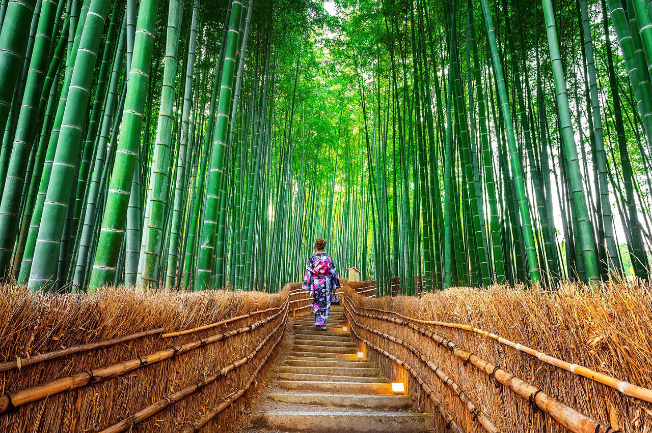 Bamboo forest path with woman in Japenese clothing walking down in Kyoto, Japan