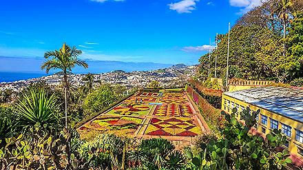 A famous botanical garden in Madeira (Funchal), Portugal