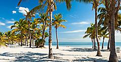 Crandon Park Beach located in Key Biscayne, Miami. Florida.