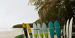 best relaxing beach to visit with surfboards lining the shoreline. Florida.