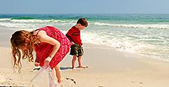 Kids searching for seashells in Vero Beach. Florida