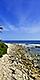 Beach Scenery with Lush Landscape, Montego Bay, Jamaica