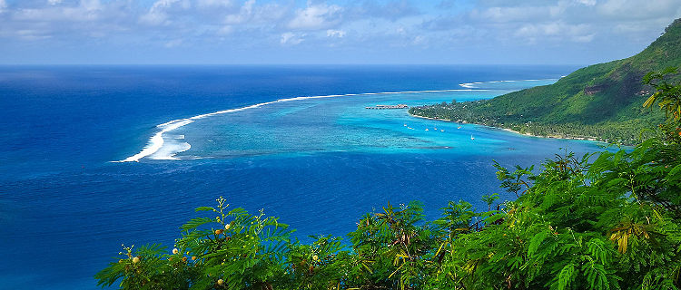 Aerial view of Opunohu Bay in Moorea Island, French Polynesia
