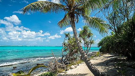 The beach with palm trees in Mystery Island, Vanuatu