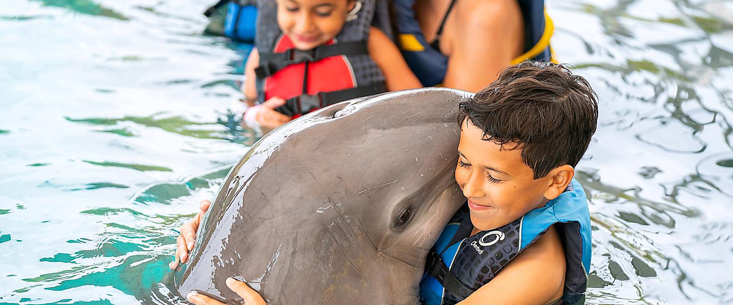 Bahamas Dolphin Swimming Excursion