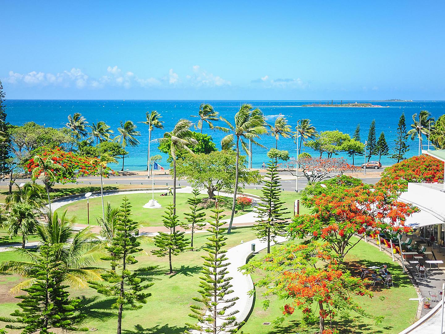 Noumea, New Caledonia Landscape Palms Ocean