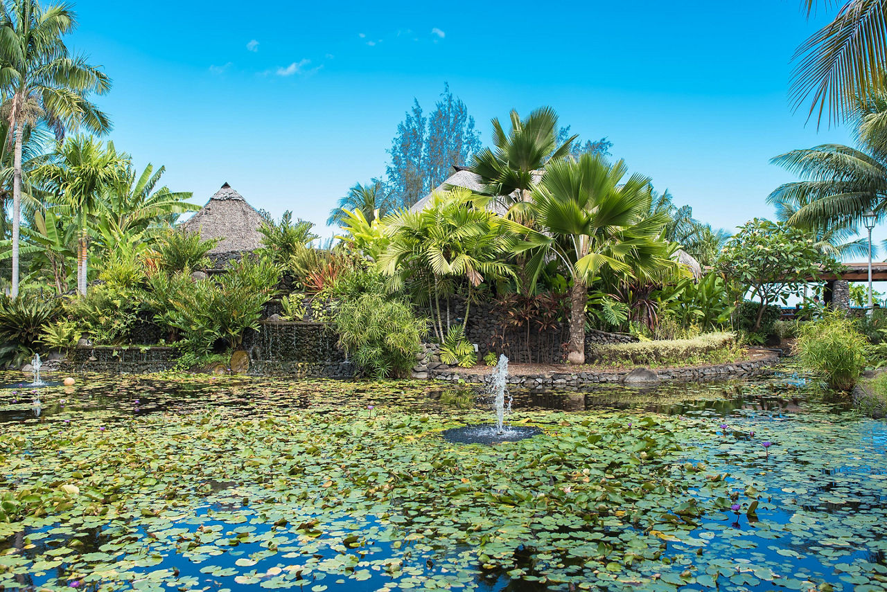 The lush landscape of the Paofai Gardens in Papeete, Tahiti