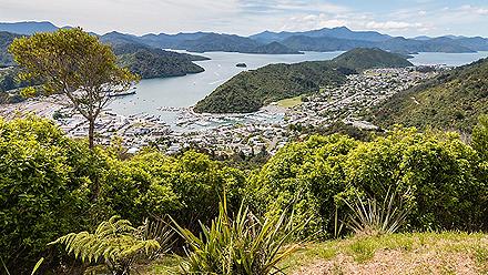Aerial view of Picton and Marlborough Sounds in New Zealand