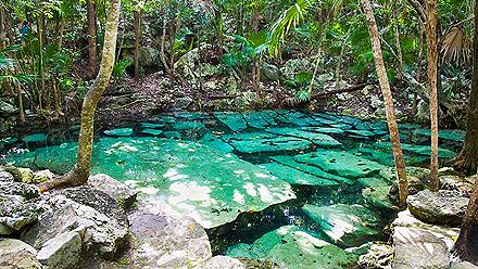 Cenote Azul Limestone Pit, Costa Maya, Mexico